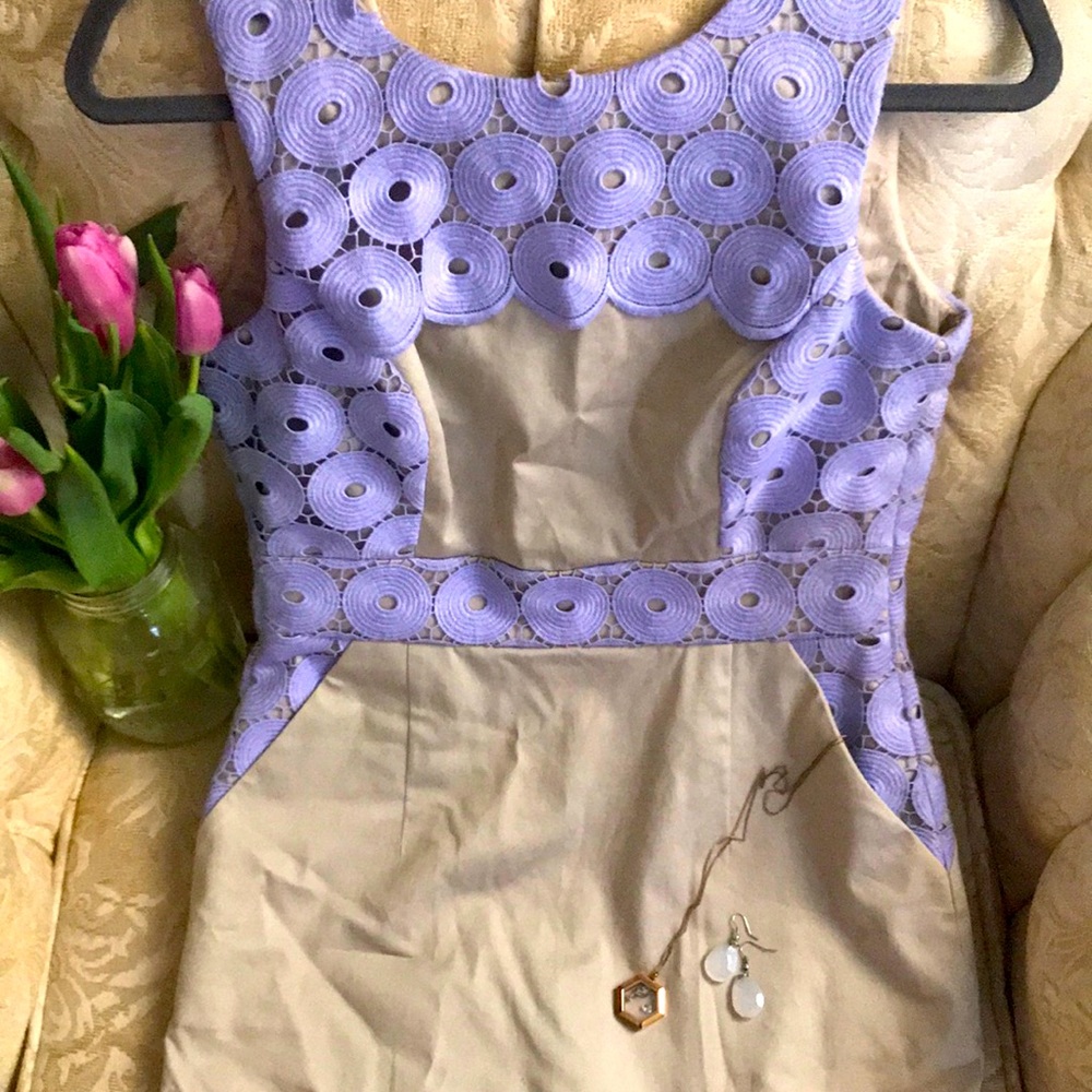 Size 2 Antonio Melani Dress